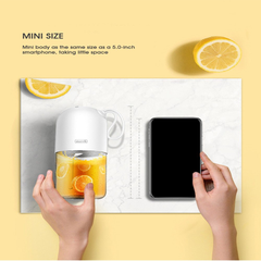 Portable Juicer
