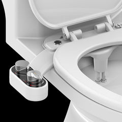 Bidet Toilet